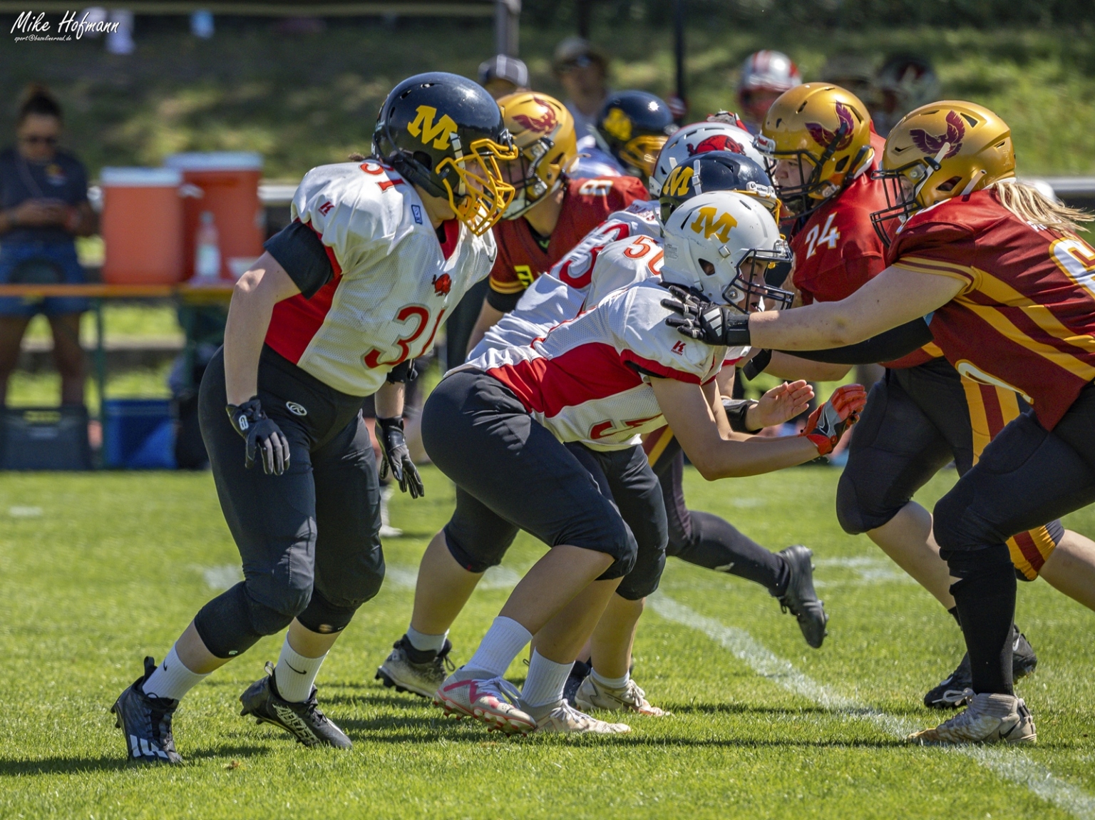 2025_regensburg-phoenix-vs-sg-cowboys-razorbacks209017-mike-hofmann_54715653242_o